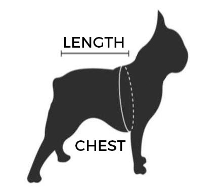 How to measure your dog