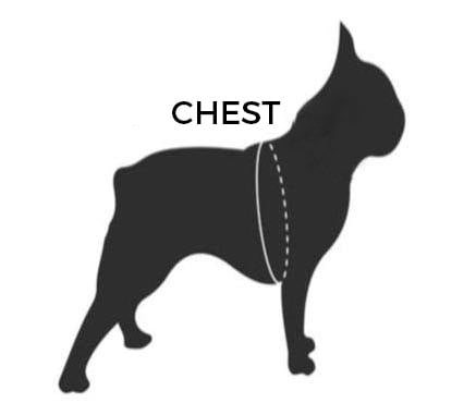 How to measure your dog