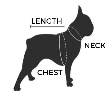 How to measure your dog