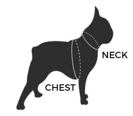 How to measure your dog