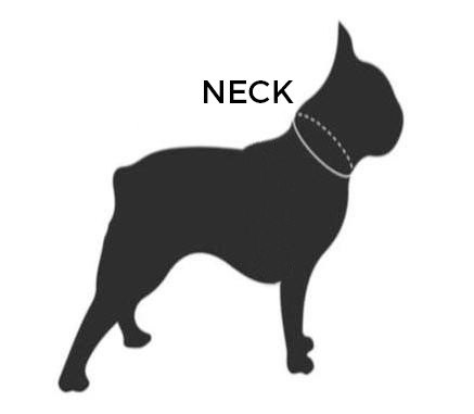 How to measure your dog