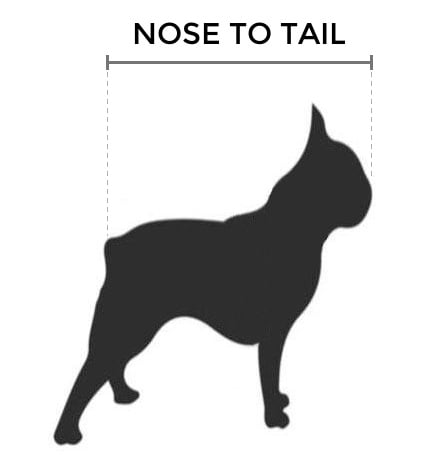 How to measure your dog