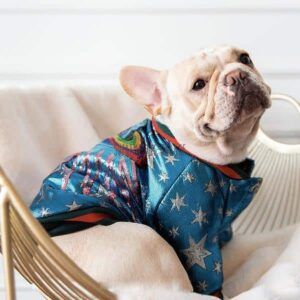 frenchie jacket gucci