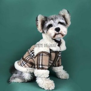 burberry dog collection