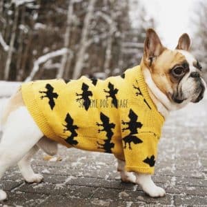 batman dog sweater