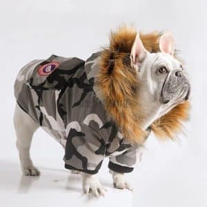 dog supreme jacket