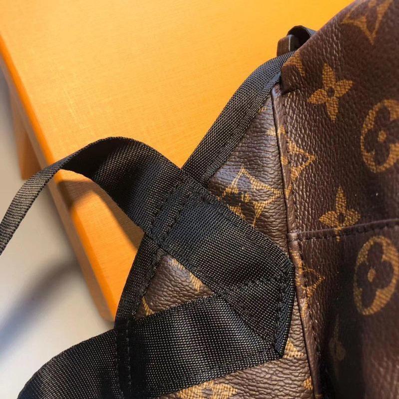 louis vuitton dog backpack