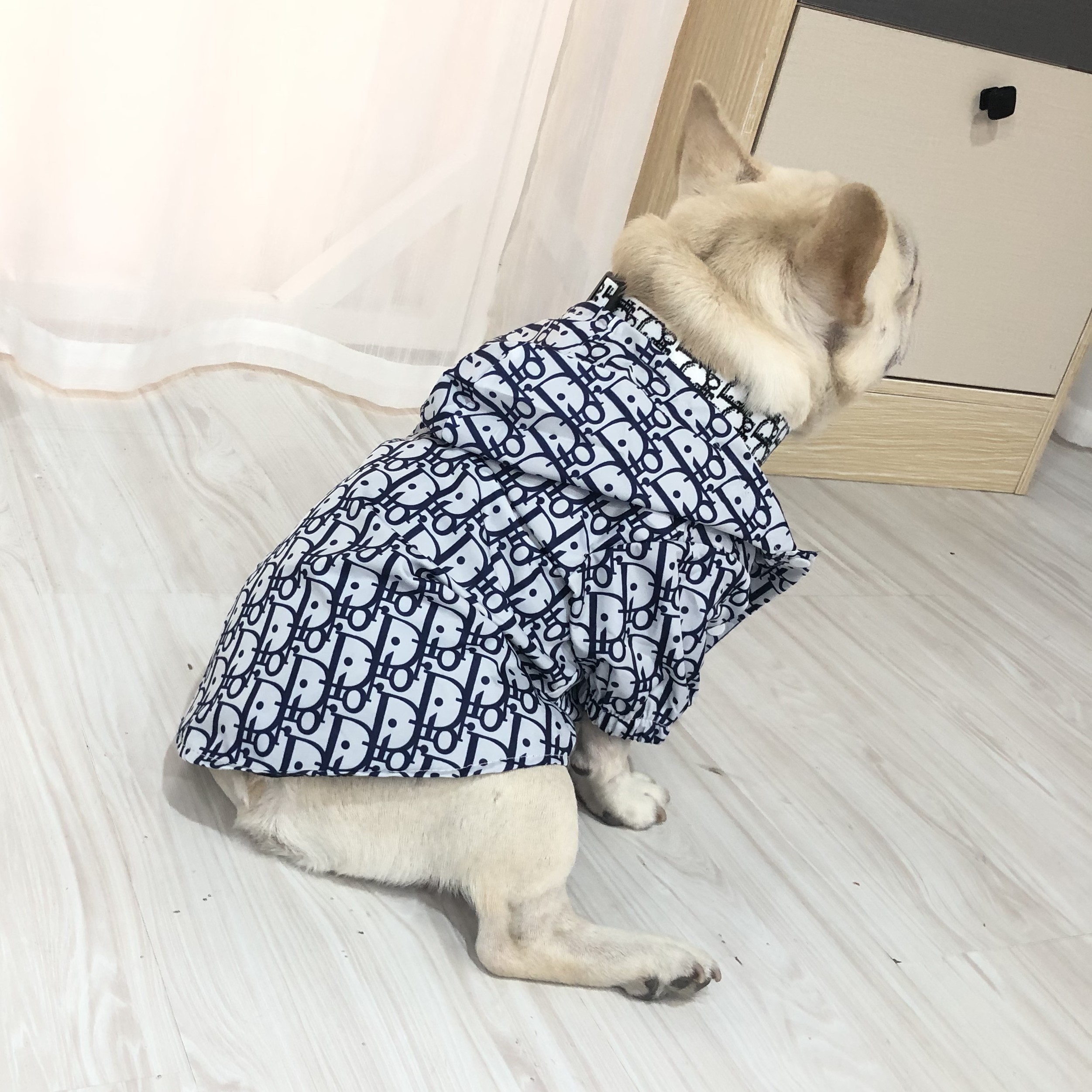 dior dog clothes