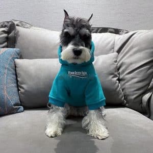 balenciaga dog shirt Archives | Supreme 