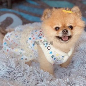 louis vuitton cat clothes