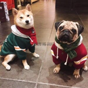 fashion dog clothes