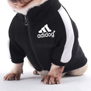 adidas jacket for dogs