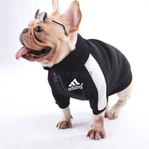 adidas dog coat