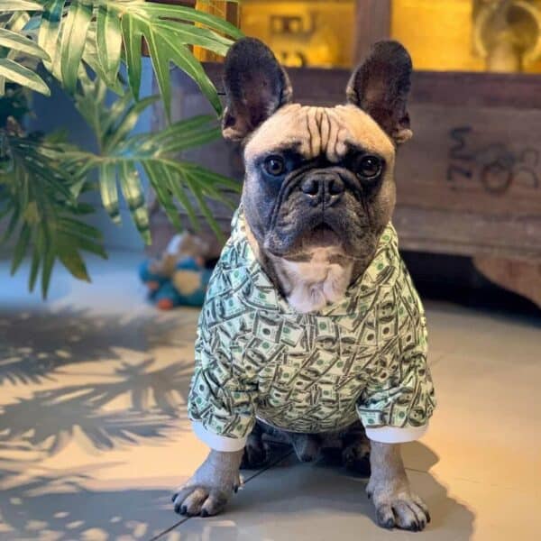hype puppy clothes