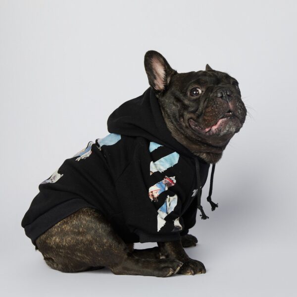 off white designer dog hoodie
