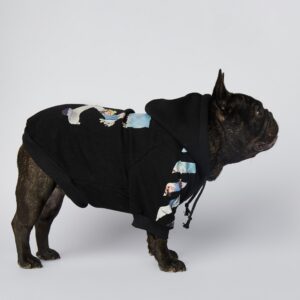 off white clothes for dogs