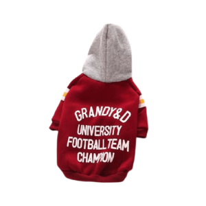 red hoodie for dog