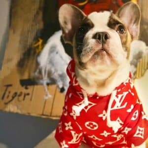 dog supreme lv hoodie