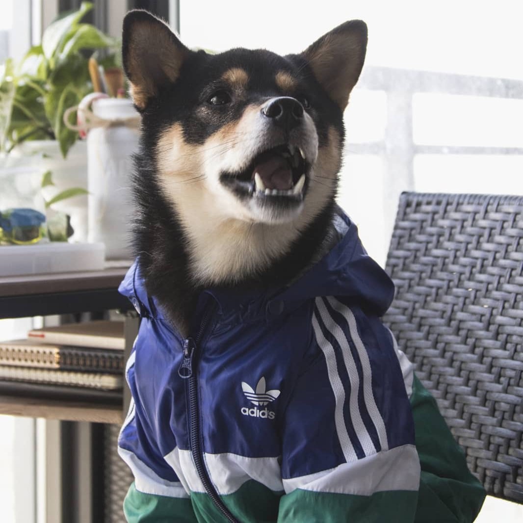 adidas supreme jacket