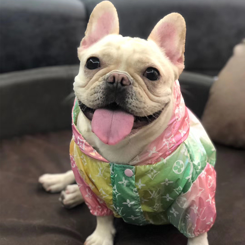 frenchie raincoat