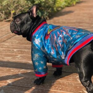 designer dog jacket