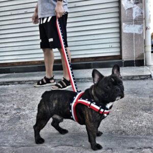 american dog harness
