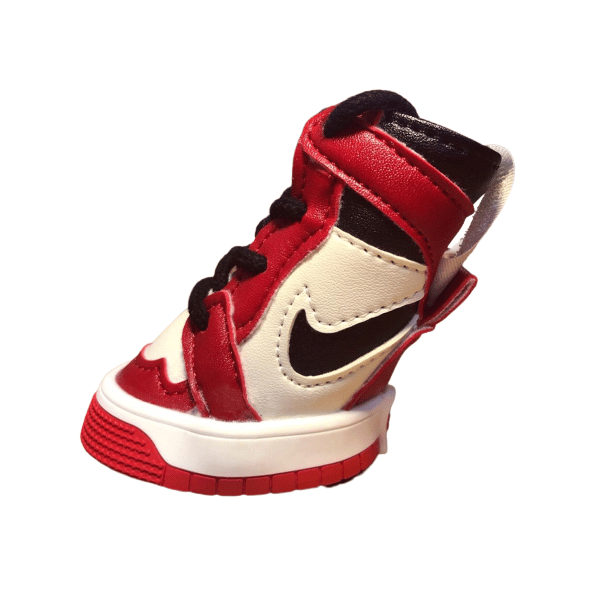 dog jordan 1s