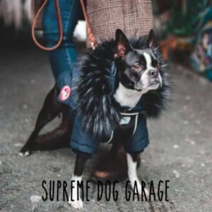 canada goose jacket dog