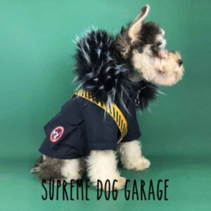 canada goose dog jacket