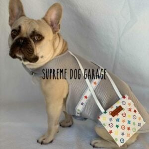 louis vuitton dog clothes