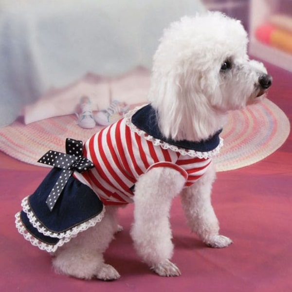 Striped Dog Birthday Dress With Bowknot | Supreme Dog Garage Striped Dog Birthday Dress With Bowknot | Supreme Dog Garage