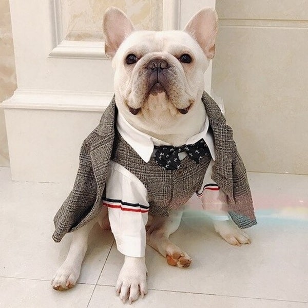 Alpha Wedding Dog Suit Vest | Supreme Dog Garage Alpha Wedding Dog Suit Vest | Supreme Dog Garage