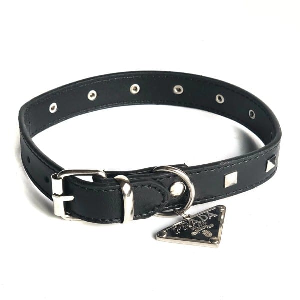 prada dog collar