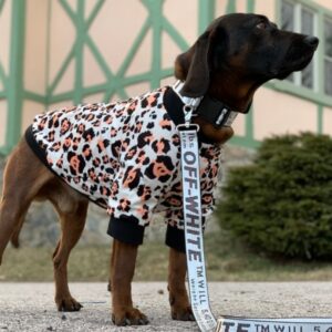 leopard fleece bomber dog jacket