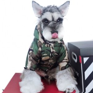 camouflage dog jacket