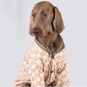 large dog sweater
