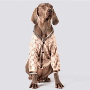 sweater for large dogs