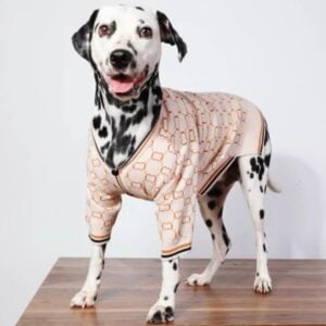 big dog clothing