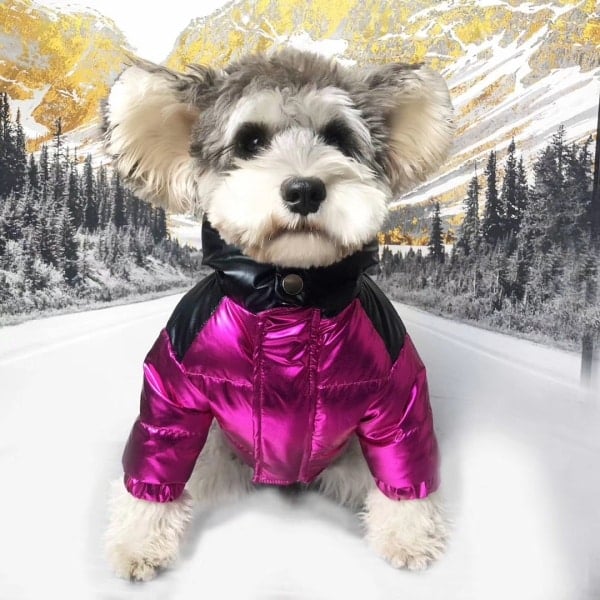 Pawtton Fluffy Luxury Dog Coat For Winter