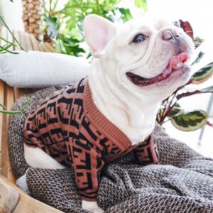 fendi sweater for french bulldogs
