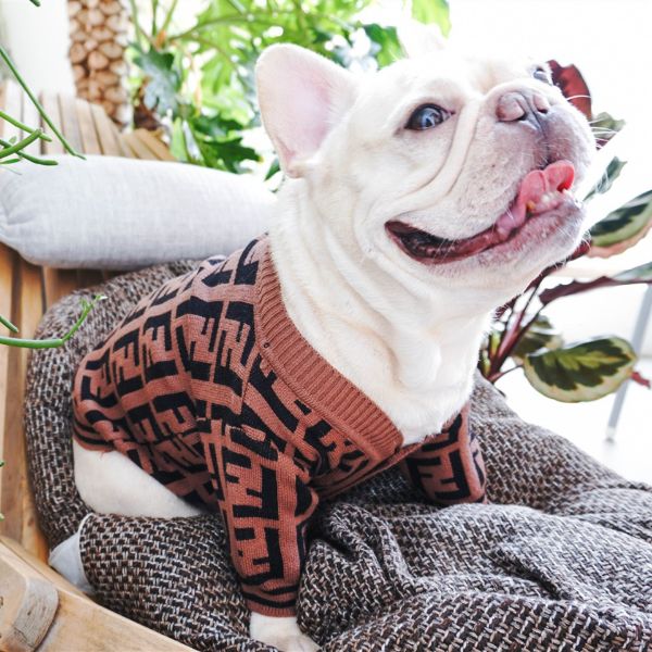 fendi sweater for french bulldogs