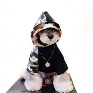 bathing ape dog clothes