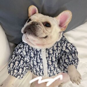 dior dog clothes