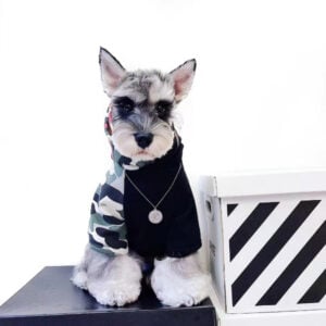 bape dog clothes