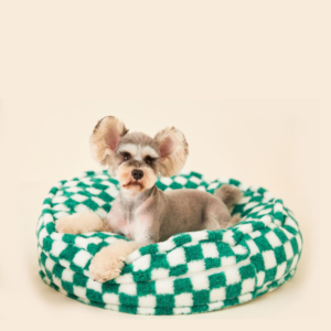 green dog bed