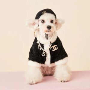 chanel clothes for dogs