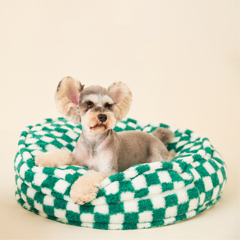 Custom Made Designer Dog Beds & Clothes for Sale