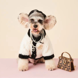 dog sweater chanel