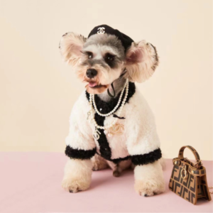 dog chanel clothes