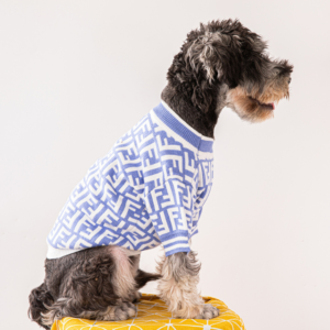 fendi clothes for dogs